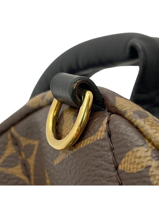 Louis Vuitton Monogram Palm Springs Backpack Mini